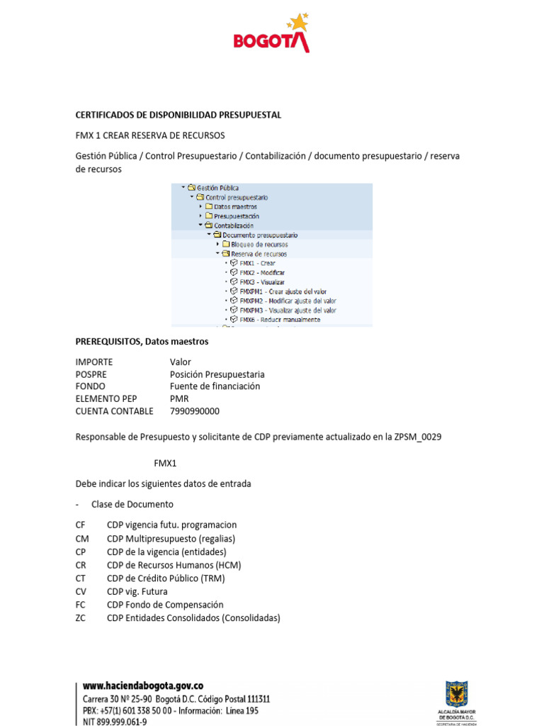 Guia Rapida CDP 2023 DDP | PDF