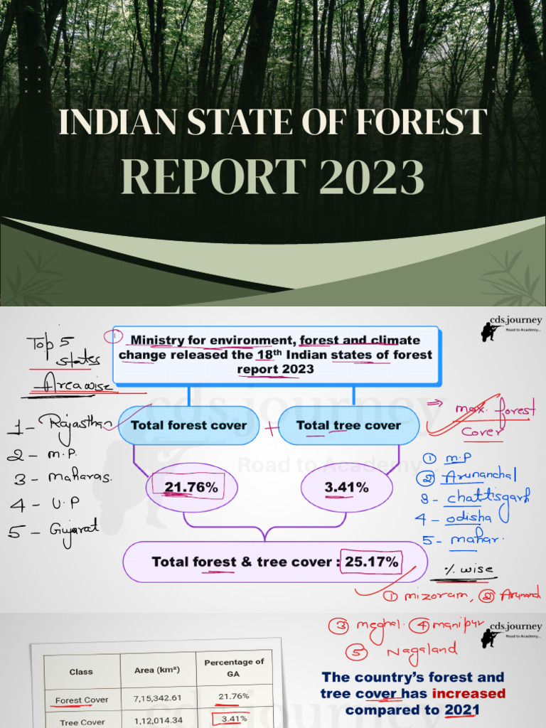 Forest Report 2023 Class | PDF