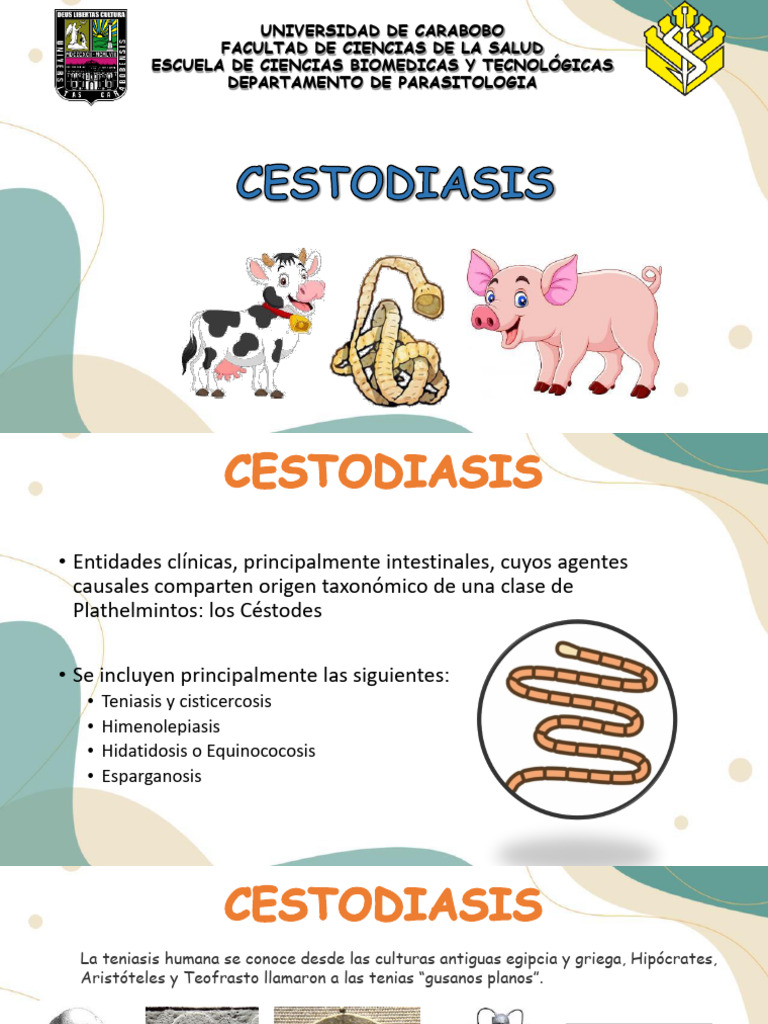 CLASE 4 - CESTODIASIS 2024 FCS | PDF