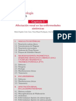 Afeccion Renal en Enfermedades Sistemicas