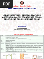Anatomy of Appendix and Colon Explained | PDF | Large Intestine | Anatomy