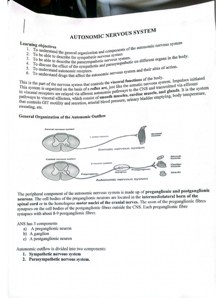 Autonomic Nervous System | PDF
