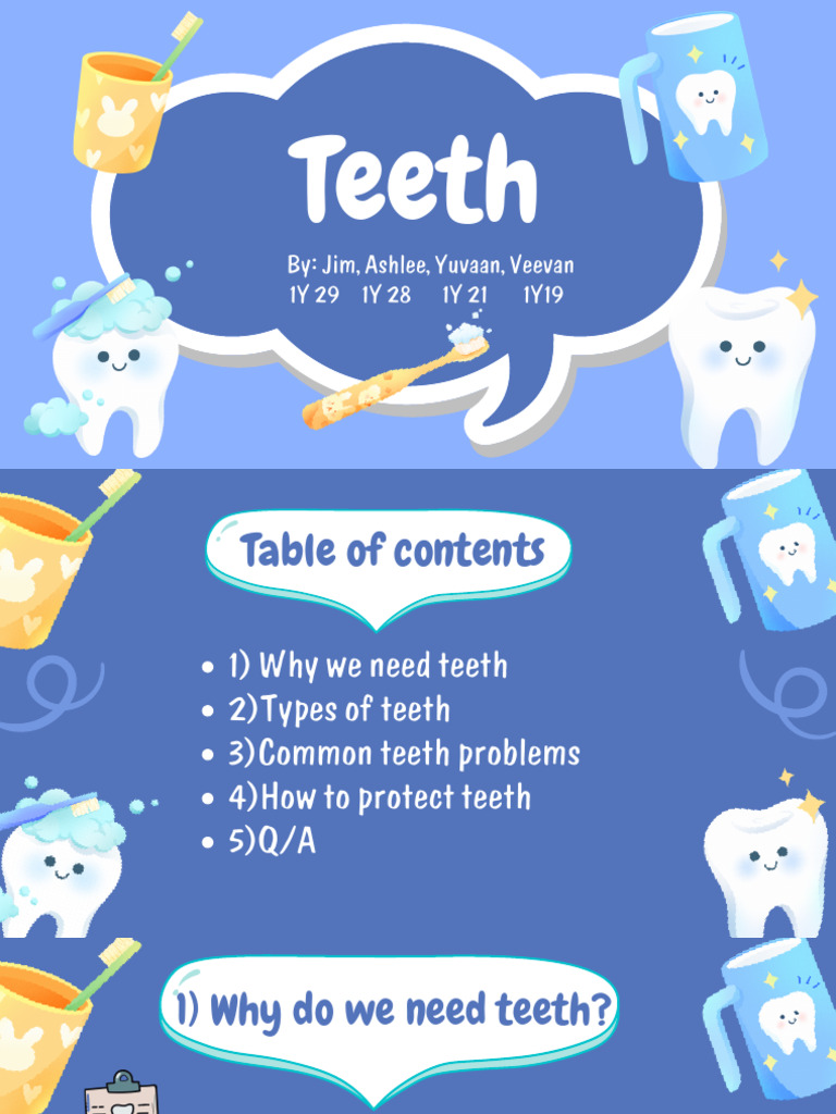 Teeth | PDF | Tooth | Mouth