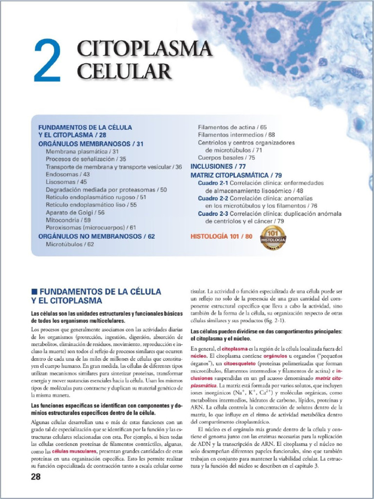 2 - Citoplasma Celular | PDF