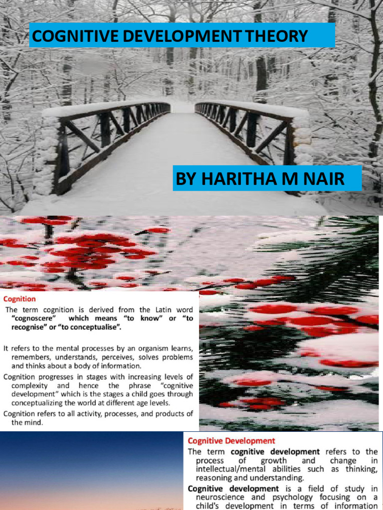 Cognitive Development | PDF