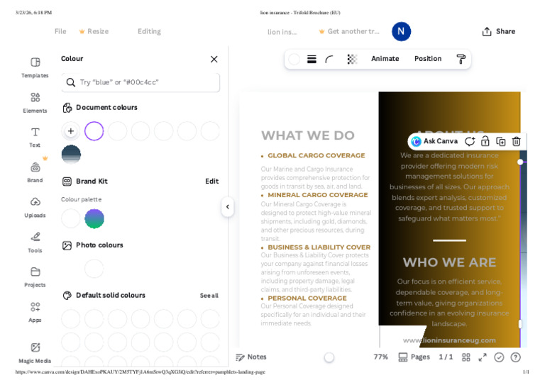 Lion Insurance - Trifold Brochure (EU) | PDF | Insurance