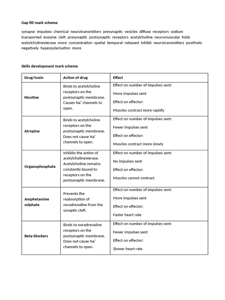 6 Synapses Worksheet - Ms | PDF | Chemical Synapse | Synapse