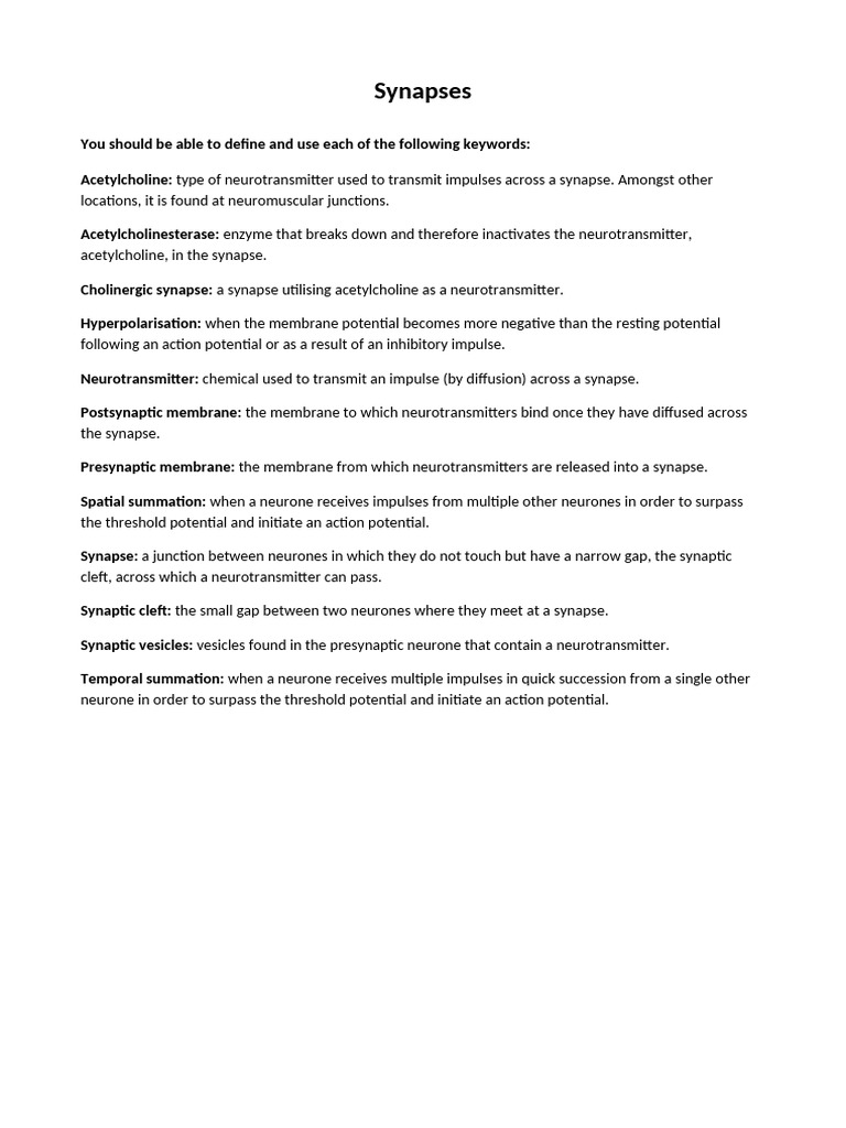 15.6 Synapses Worksheet | PDF | Chemical Synapse | Synapse