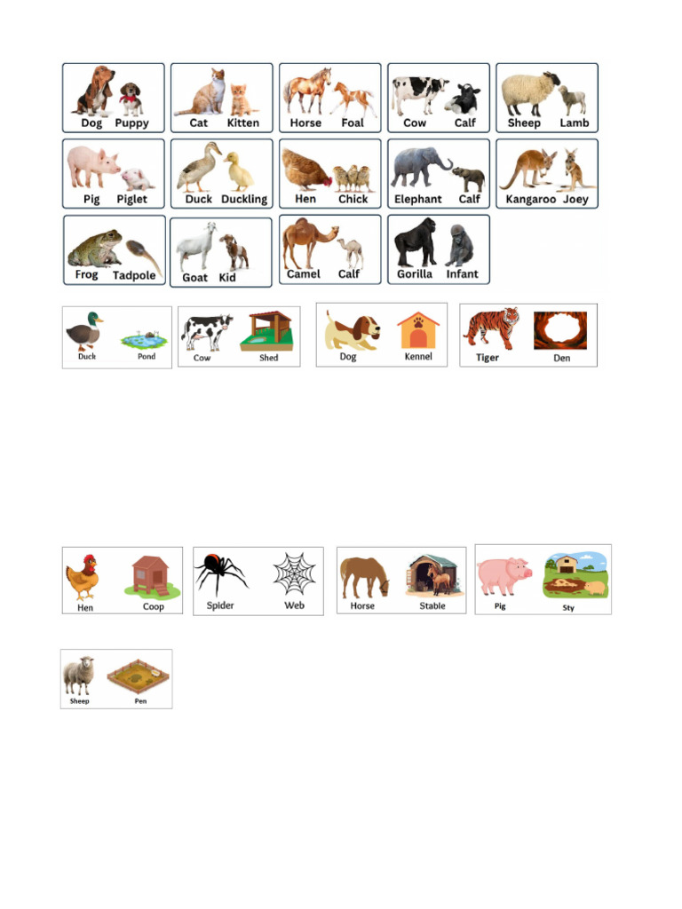 Animals Their Babies and Homes | PDF
