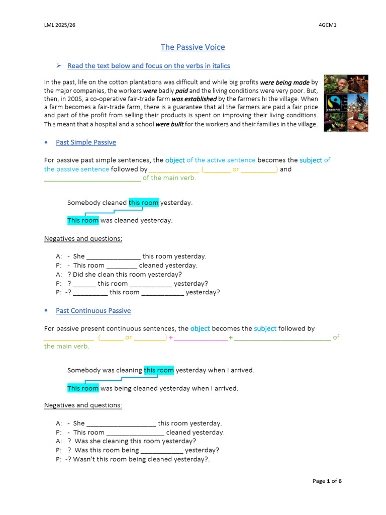 The Passive Voice | PDF | Subject (Grammar) | Grammar