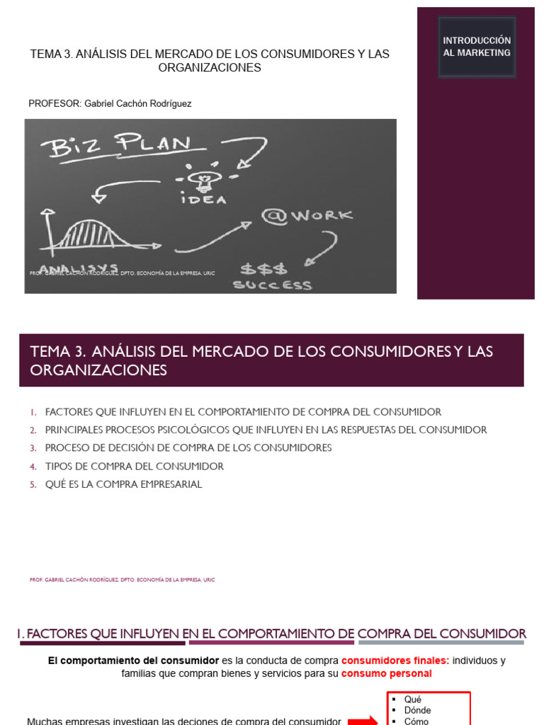 Tema 3 Comportamiento Del Consumidor y Las Organizaciones | PDF ...