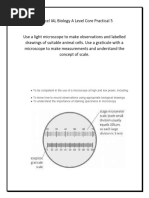 Manual Practica Measuring Cell Size and Calculating Magnification ...