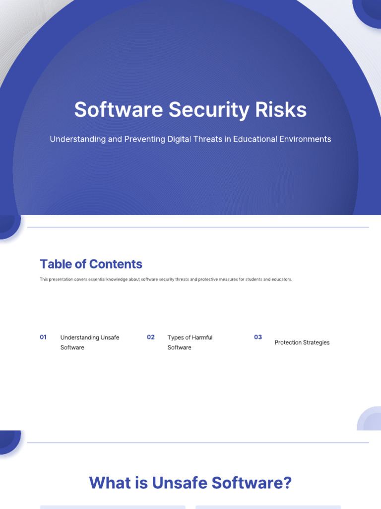 Software Security Risks | PDF