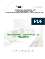 Microscopia Eletronica de Varredura