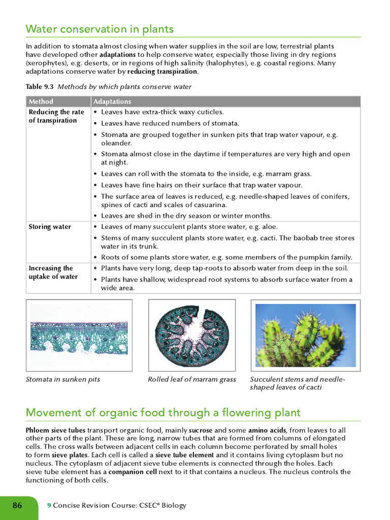 Water Conservation | PDF | Branches Of Botany | Biology
