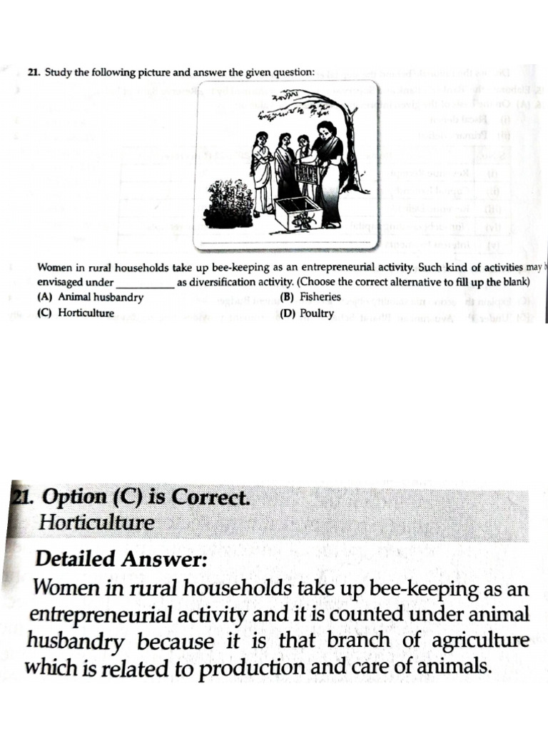 Picture Based Questions | PDF