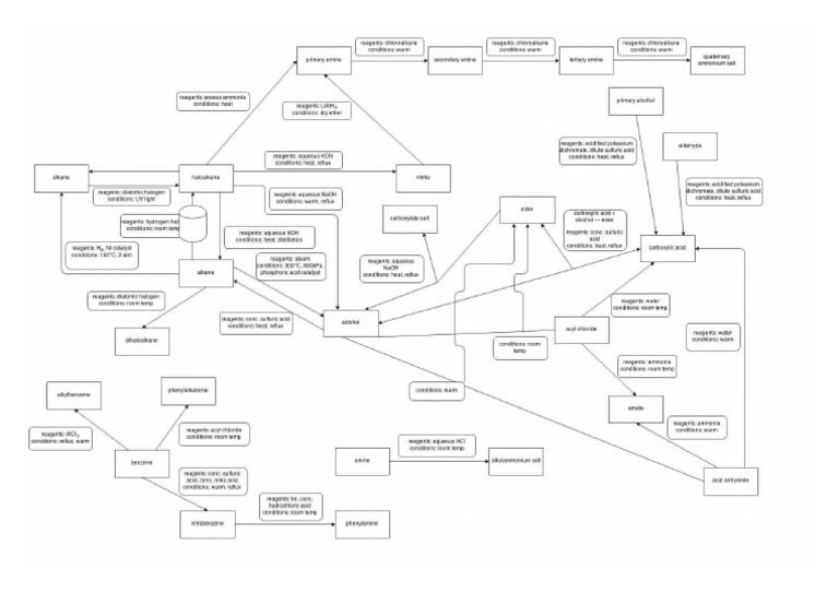 Organic Synthesis LARGE Student Map (1) .JPG | PDF