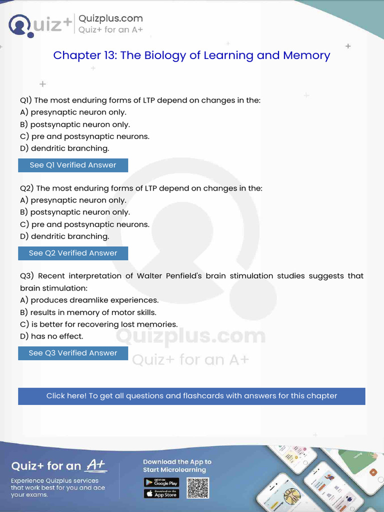 The Most Enduring Forms of LTP Depend On Changes in The | PDF ...