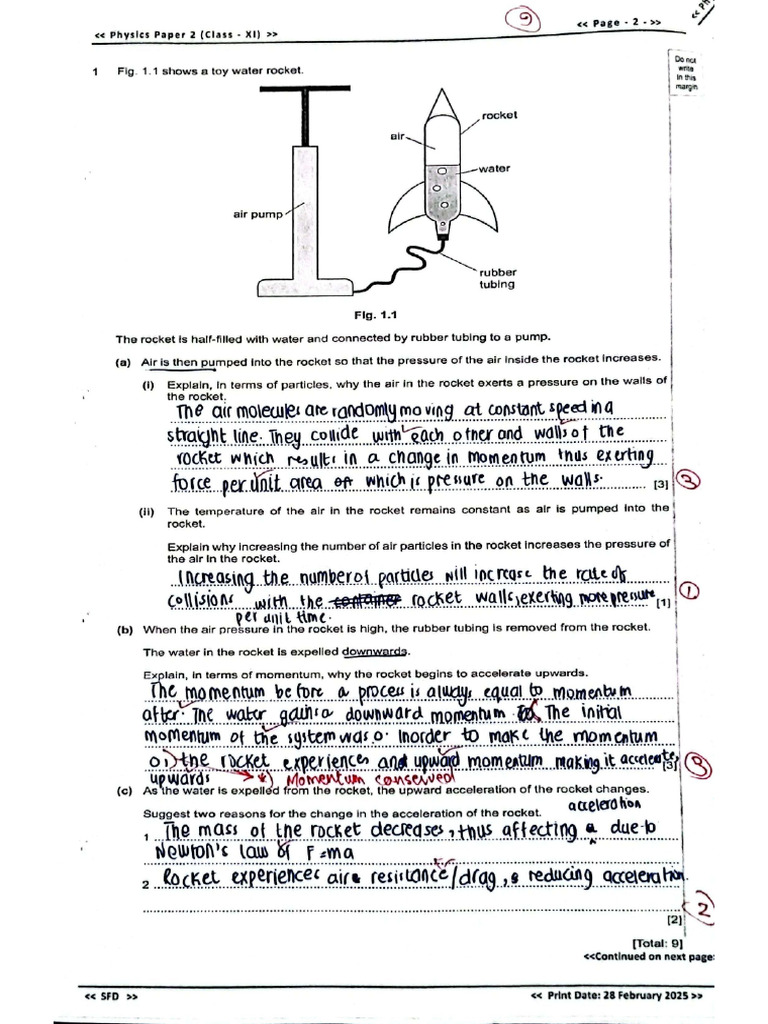 XI P2 Final Paper | PDF