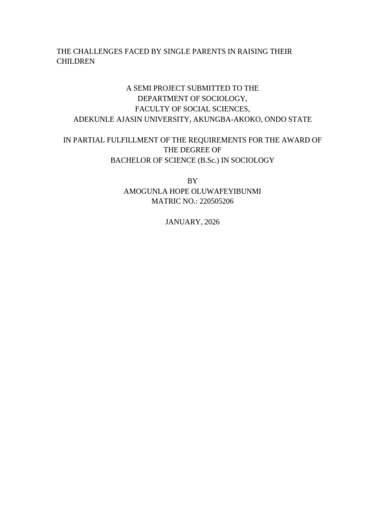 DMX Sociology Semi Project | PDF | Single Parent | Parenting