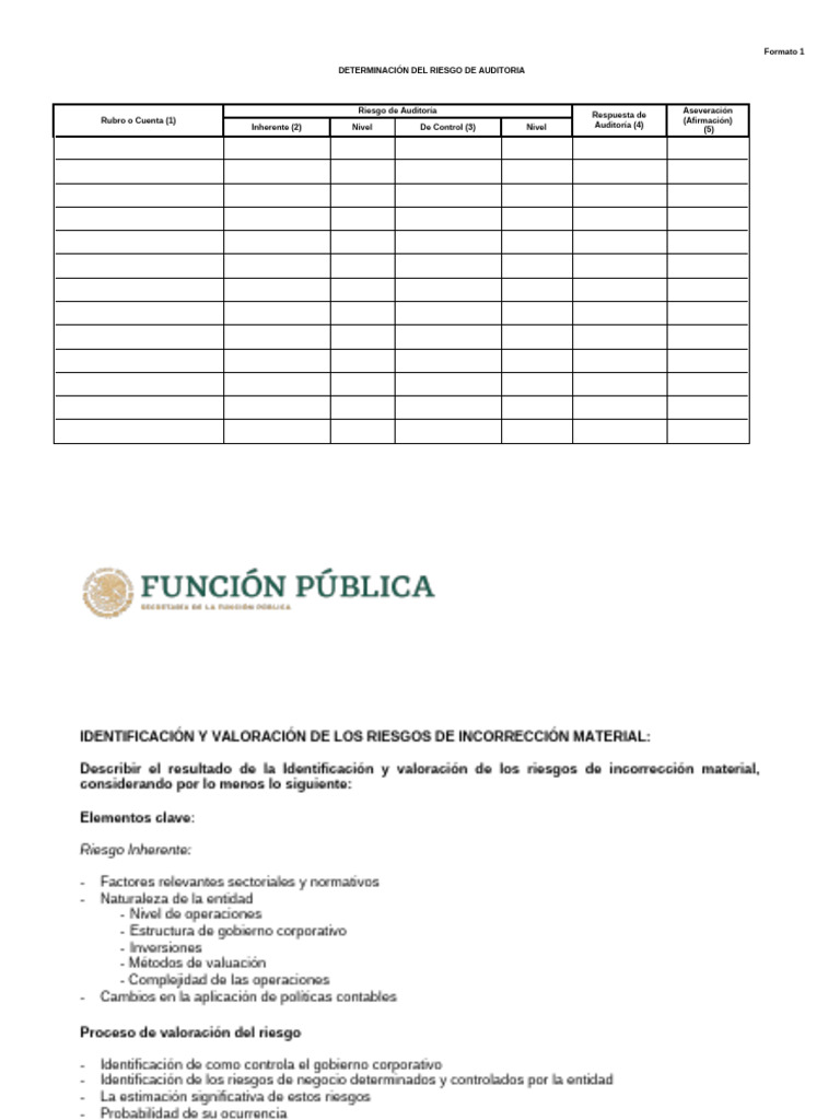 Formato 1 Informe de Analisis de Riesgo | PDF