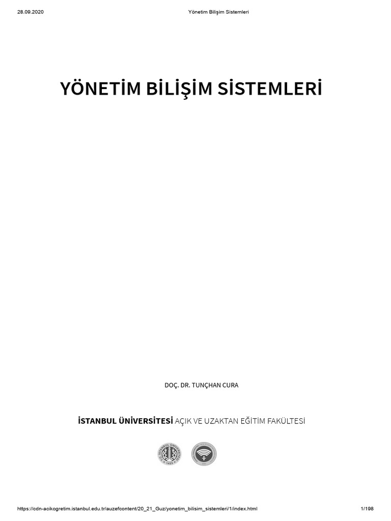 Yönetim Bilişim Sistemleri | PDF