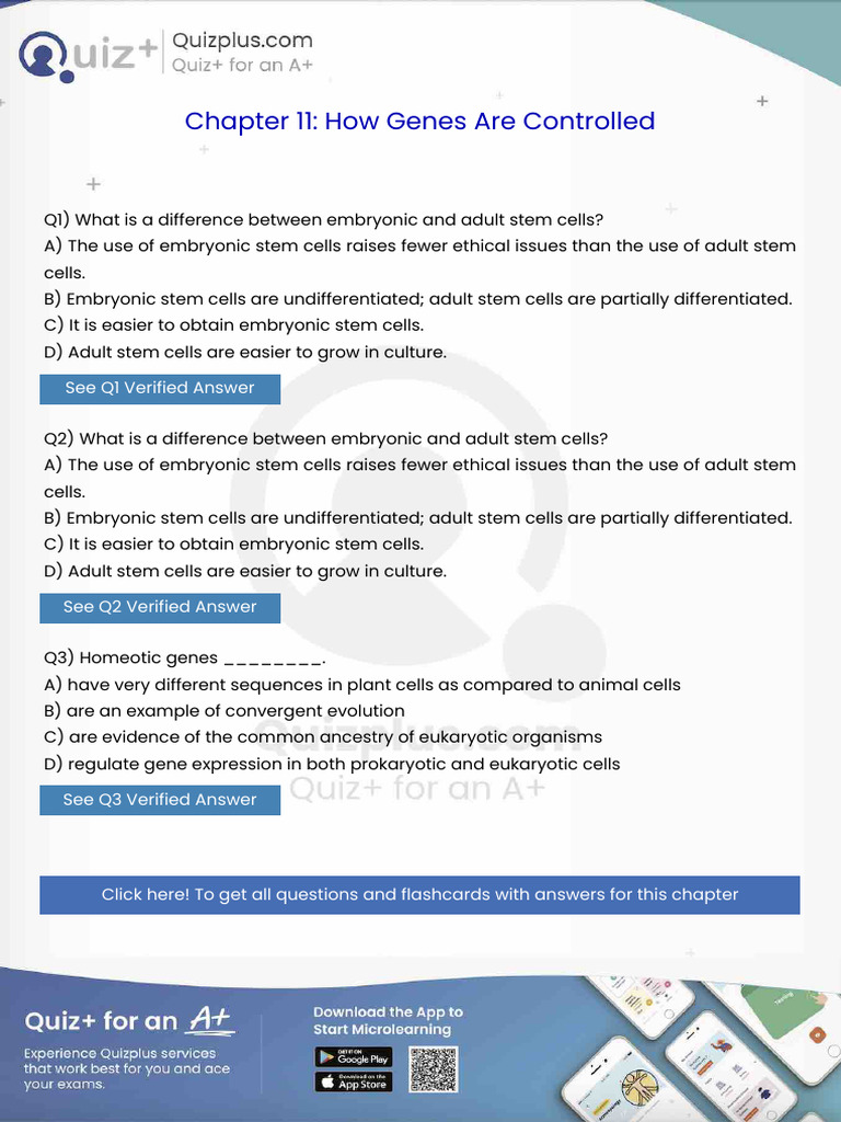 What Is A Difference Between Embryonic and Adult Stem Cells | PDF ...
