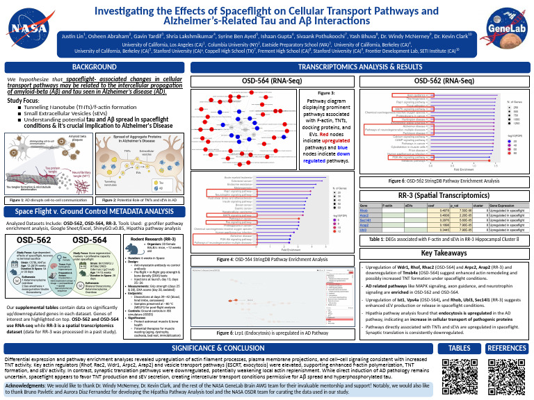 TNT Project Poster Presentation | PDF | Actin | Downregulation And ...