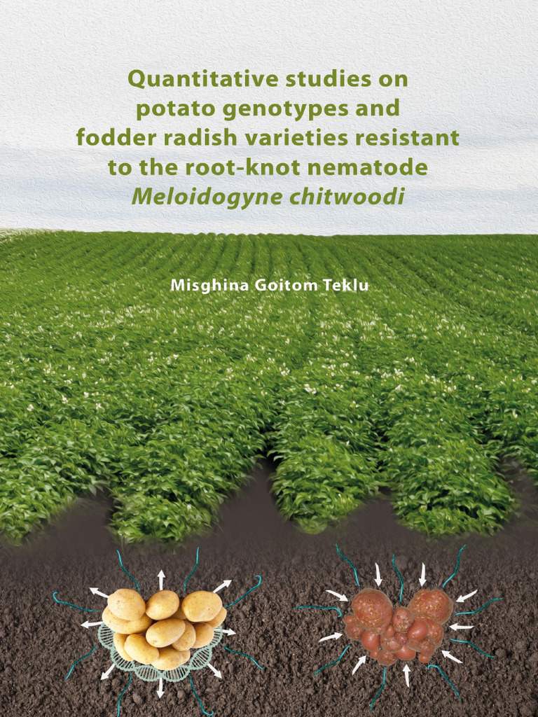 Resistance Mechanisms Fodder Radish To Chitwoodi Wageningen | PDF ...