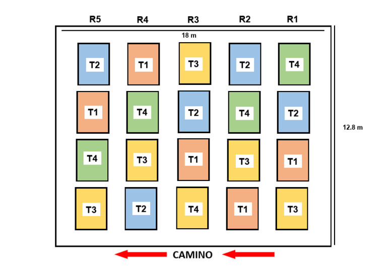 Diseño Parcela | PDF