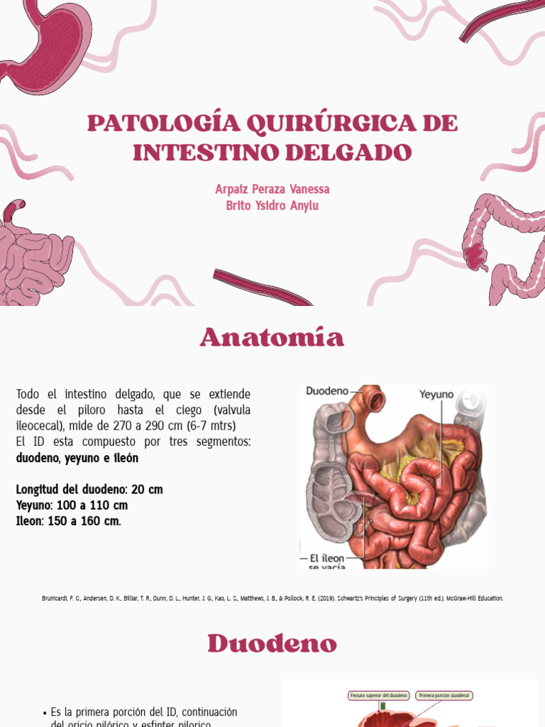 Patologia Quirurgica de Intestino Delgado | PDF | Tracto ...