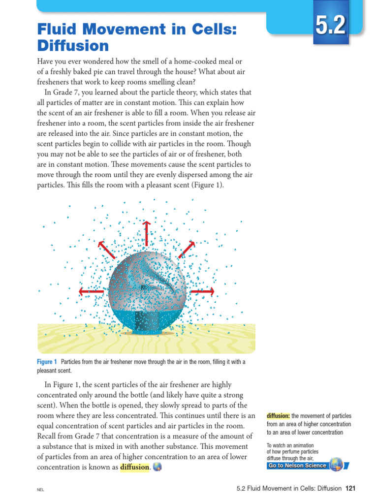Fliud Movement in Cells - Diffusion | PDF | Diffusion | Odor