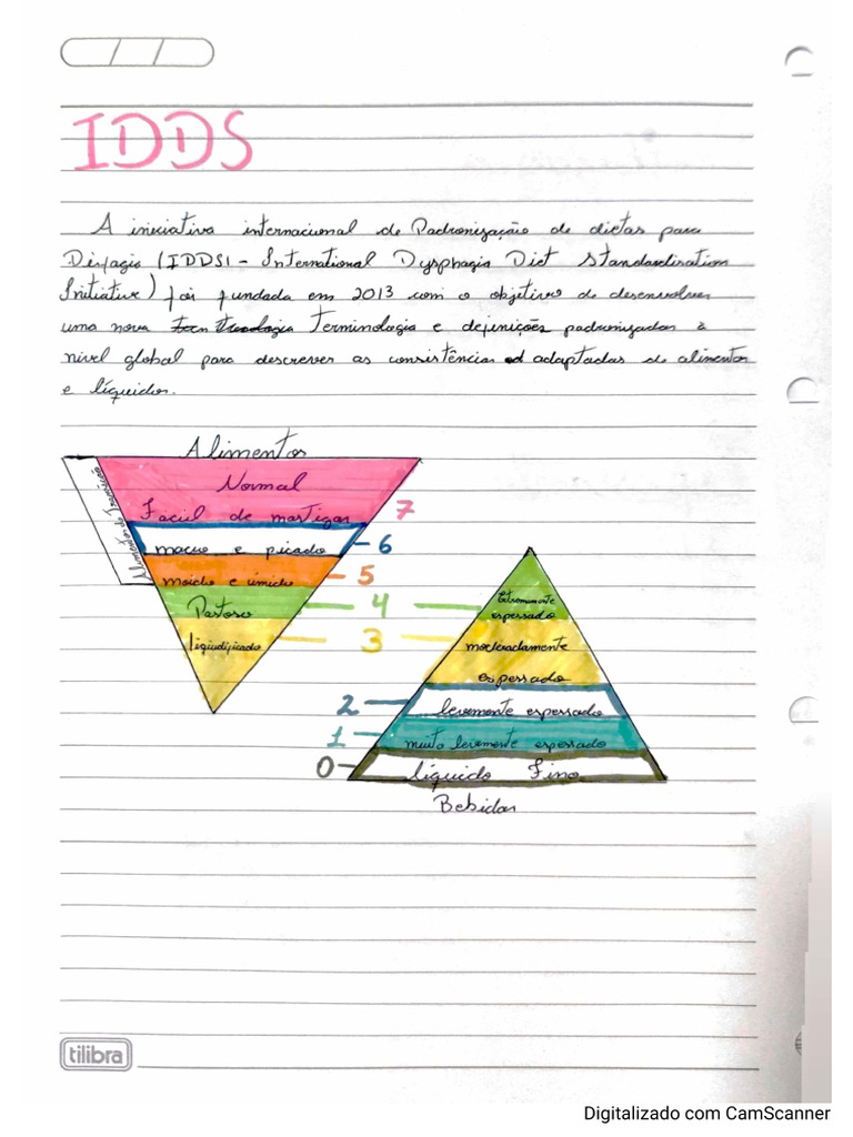 IDDS | PDF
