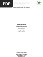 Download Editor de Video Sony Vegas Pro 11 by Leidy Ospina SN101654827 doc pdf