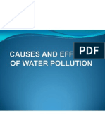 Causes and Effects of Water Pollution
