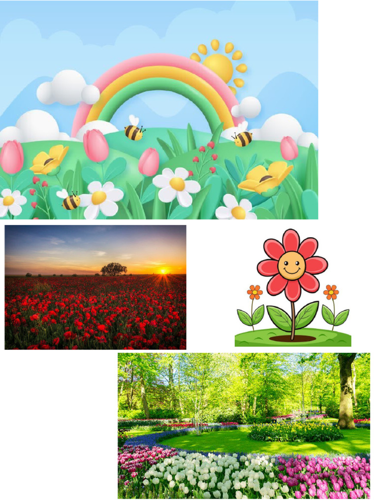 Primavera Color | PDF