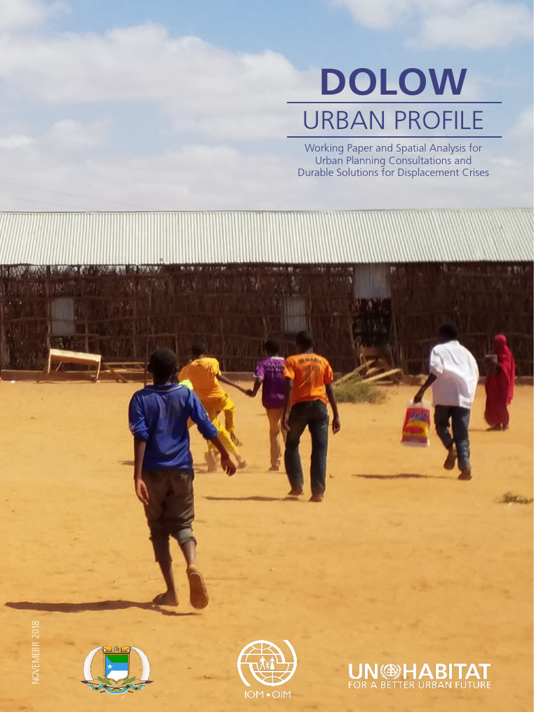 Doolow City Somalia Profile | PDF | Somalia