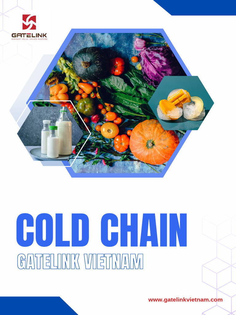 Gatelink VN - Cold Chain Brochure | PDF | Refrigeration | Cargo
