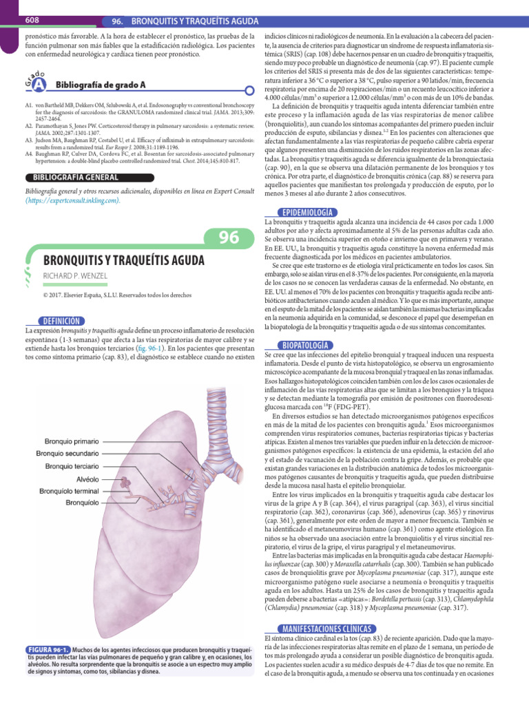 Bronquitis y Traqueítis Aguda | PDF | Tos | Bronquitis