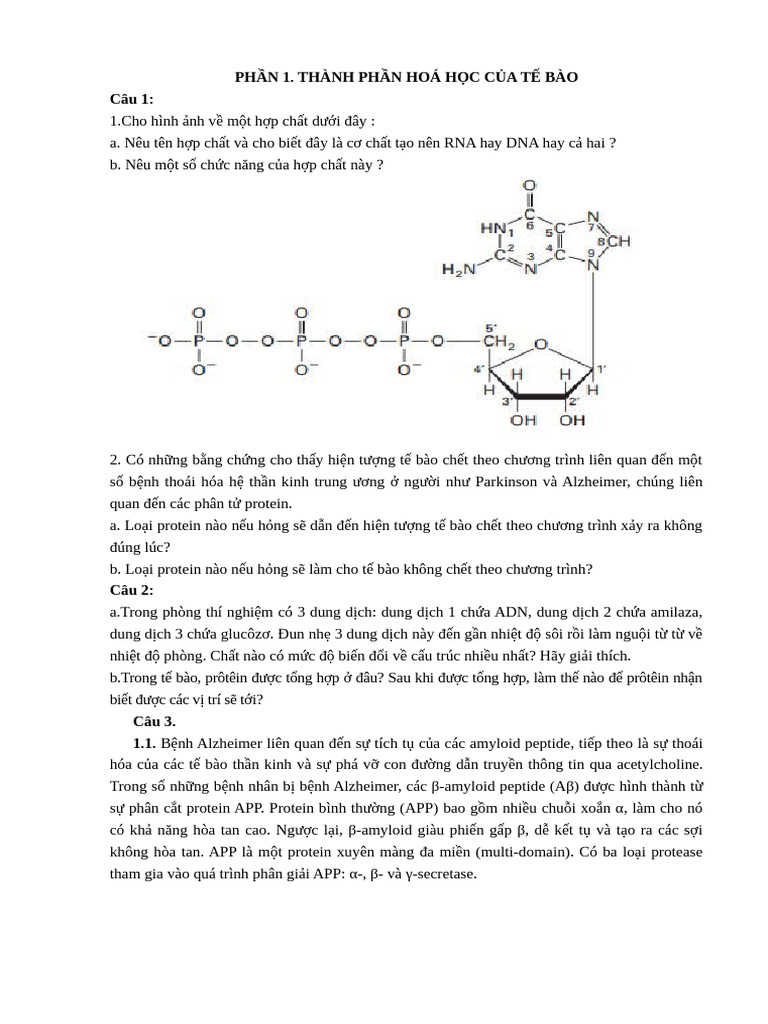 Phần 1.Tp Hoa Hoc Cua Te Bao | PDF