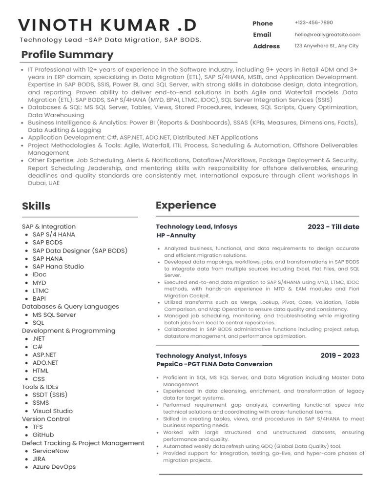 Professional Modern CV Resume | PDF | Microsoft Sql Server | Databases