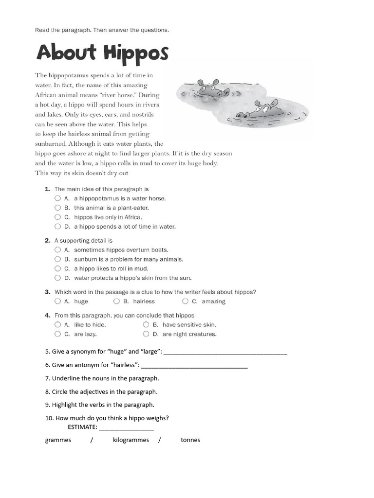 Hippo Comprehension | PDF