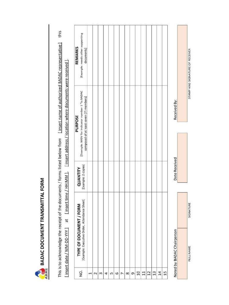 2025 CIR Transmittal | PDF