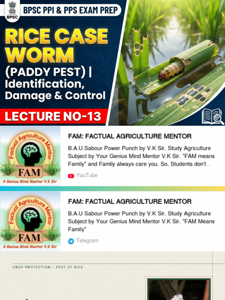 Rice Case Worm | PDF