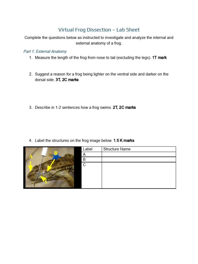 5.3 - Frog Dissection - Lab Sheet | PDF | Stomach | Gastrointestinal Tract