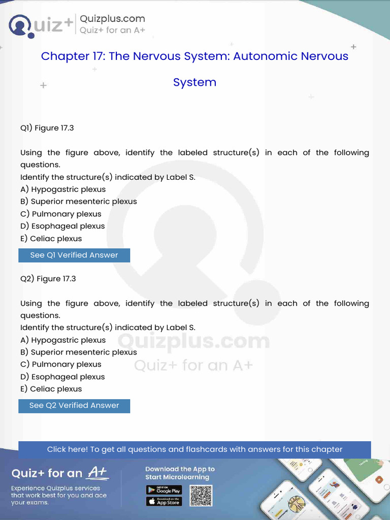 Identify The Structures Indicated by Label S | PDF | Epithelium ...