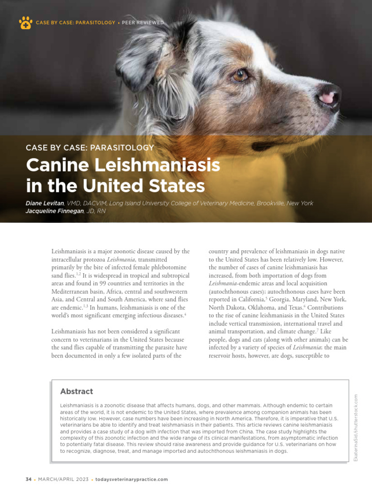 Canine Leishmaniasis in The US | PDF | Medical Specialties | Clinical ...