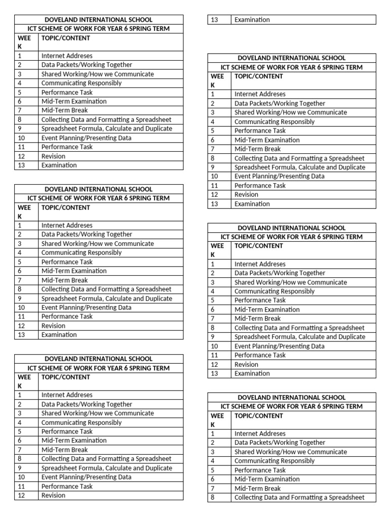 Year 6 Scheme Spring Term | PDF | Spreadsheet | Application Software
