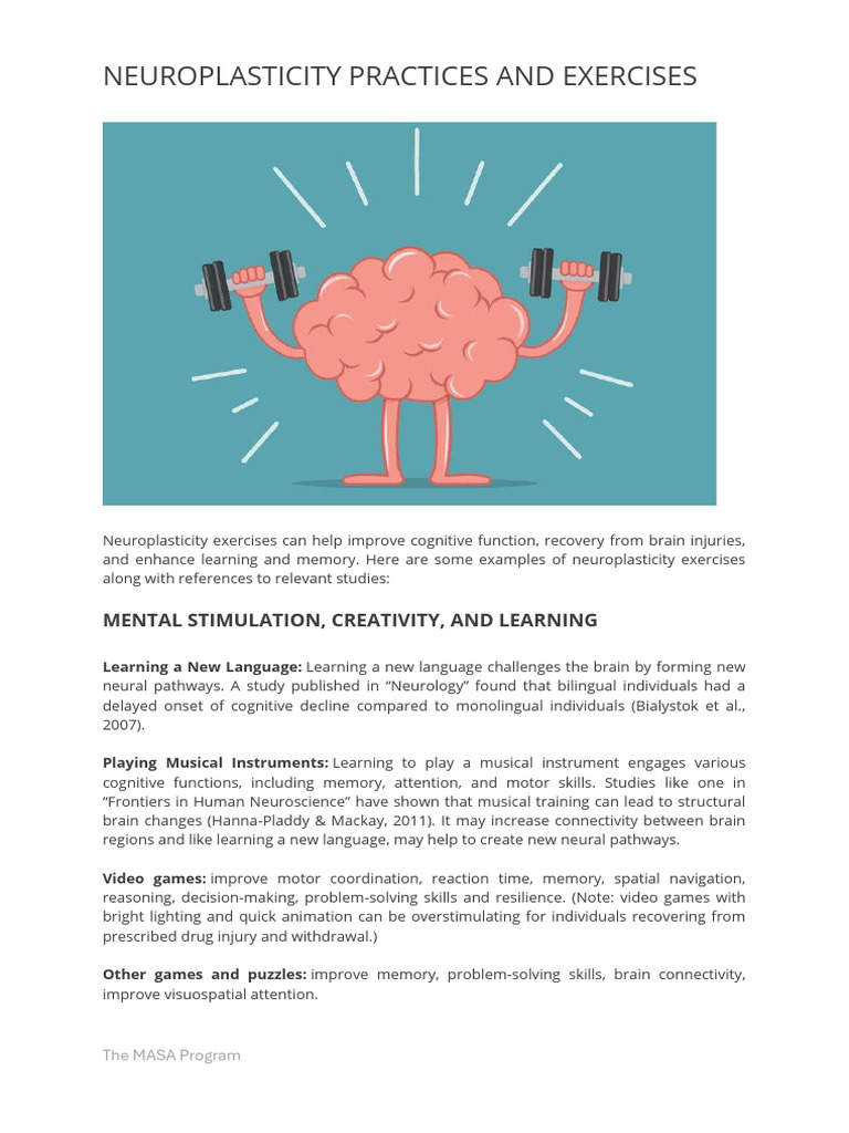 MASA Neuroplasticity Activities | PDF | Neuroplasticity | Memory