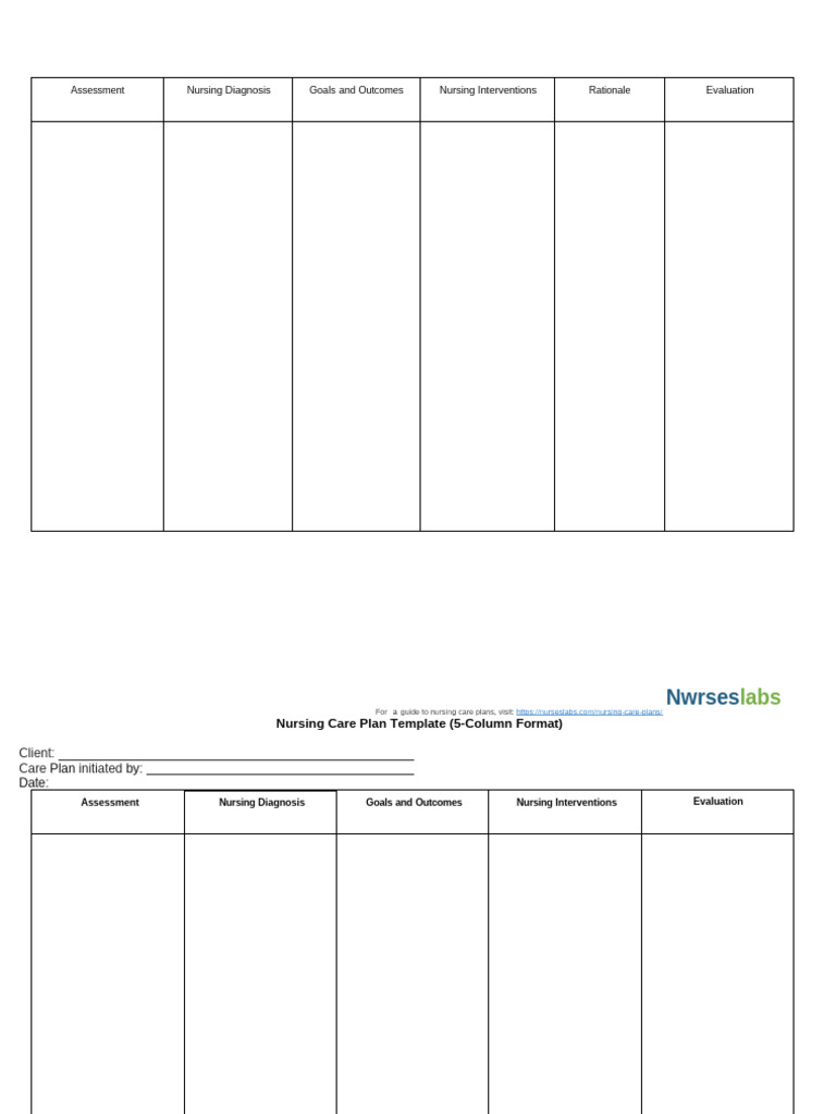 Nursing Care Plan Template | PDF